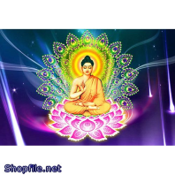 Bổn Sư Thích Ca Mâu Ni Phật